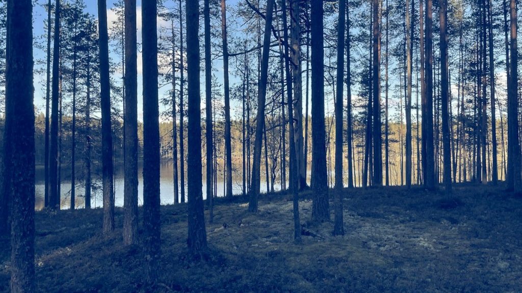 Tervislikud retseptid igaks päevaks